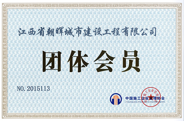 中施企团体会员证书