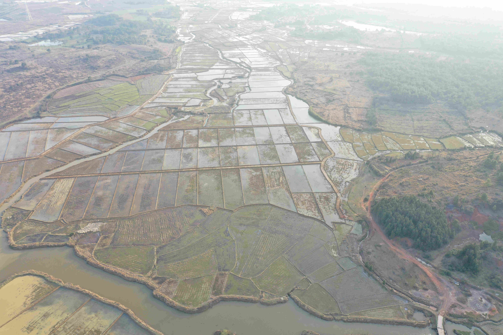 新建区2021年高标农田项目（石岗保卫村）